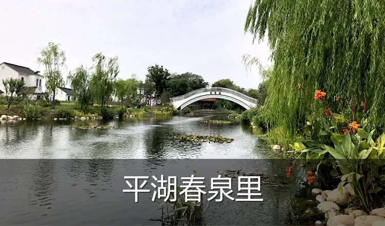 平湖春泉里